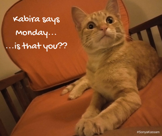 Kabira says 1
